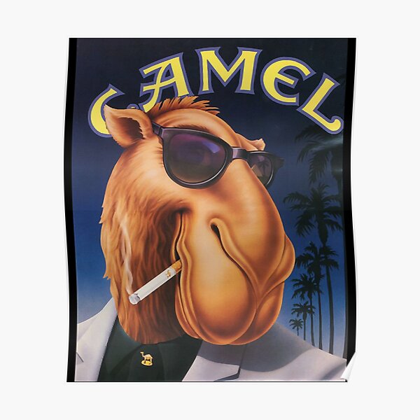 Camel Cigarettes